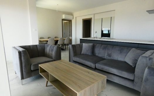 4 bedroom penthouse for rent