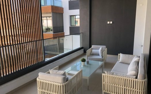 2 Bedroom apartment in Potamos Germasogeias, Limassol for rent