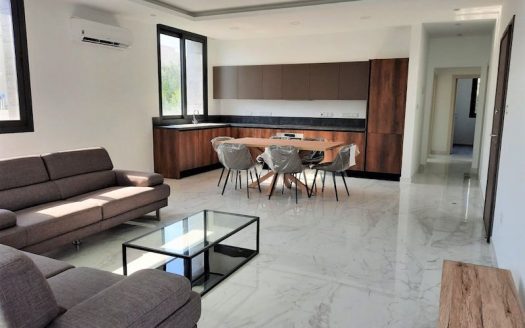 Brand new 3 bedroom apartment for rent in Potamos Germasogeias
