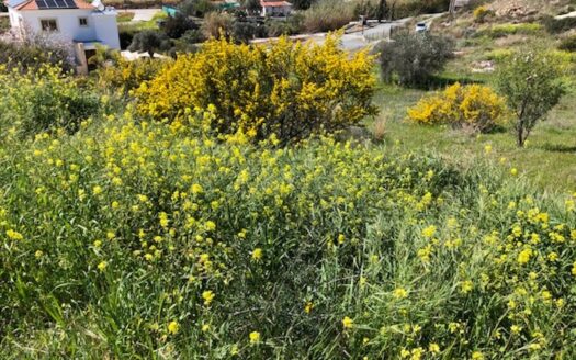 Land for sale in Pyrgos