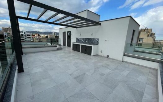 Brand new 3 bedroom penthouse in Neapoli for rent