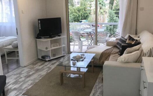Luxury one bedroom apartment for rent