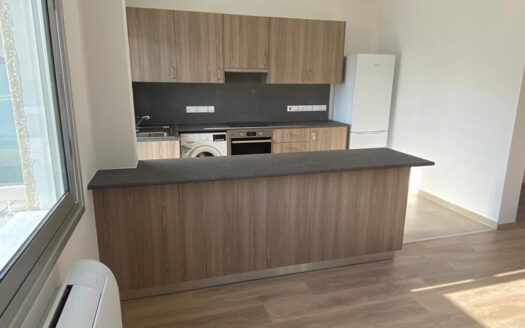 2 bedroom fully renovated apartment for rent