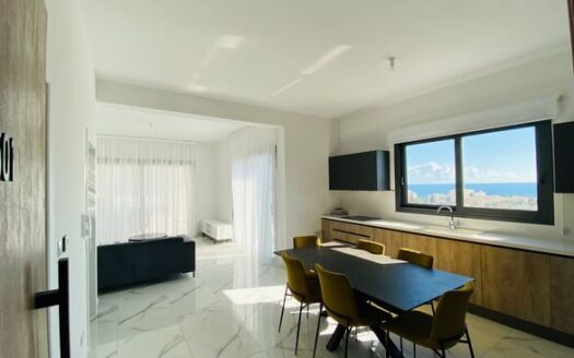 Brand-new luxury apartment for rent