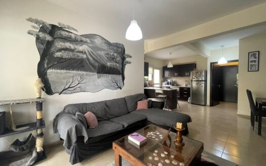 Spacious 2 bedroom apartment for sale
