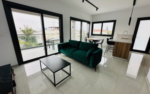 Brand new 2 bedroom apartment for rent