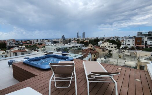 3 Bedroom penthouse with a private roof garden for rent