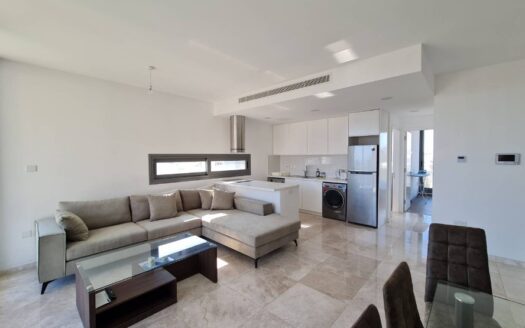 3 bedroom penthouse in Neapolis area