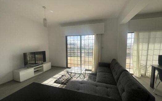 Fully furnished 3 bedroom apartment for rent