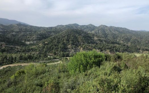 Land for sale in Troodos, Limassol