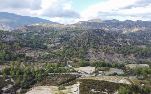 Large land for sale in Agios Mamas area